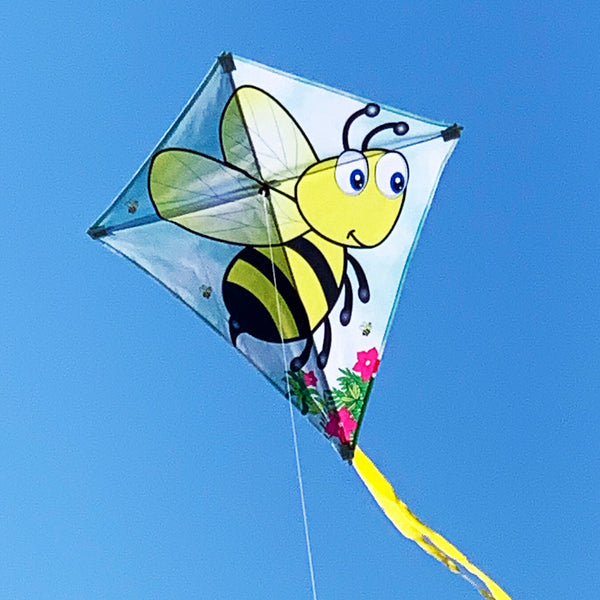 WINDSPEED Bumble Bee Single String Kite