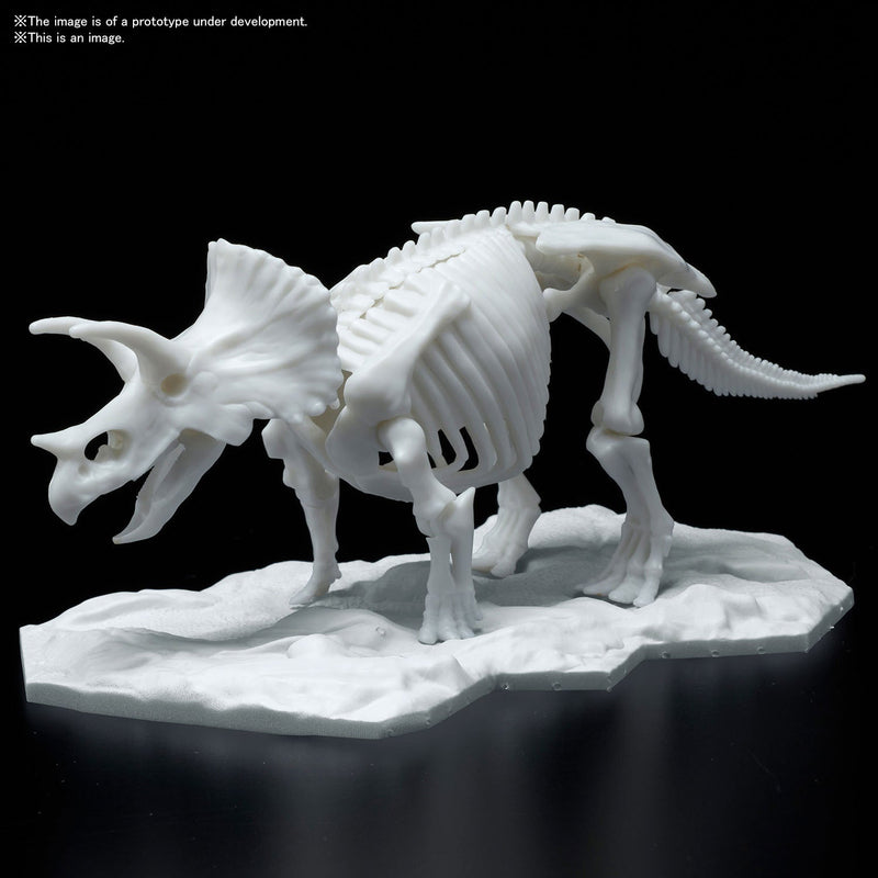 BANDAI Dinosaur Model Kit Limex Skeleton Triceratops