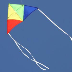 WINDSPEED Aussie Delta Single String Kite