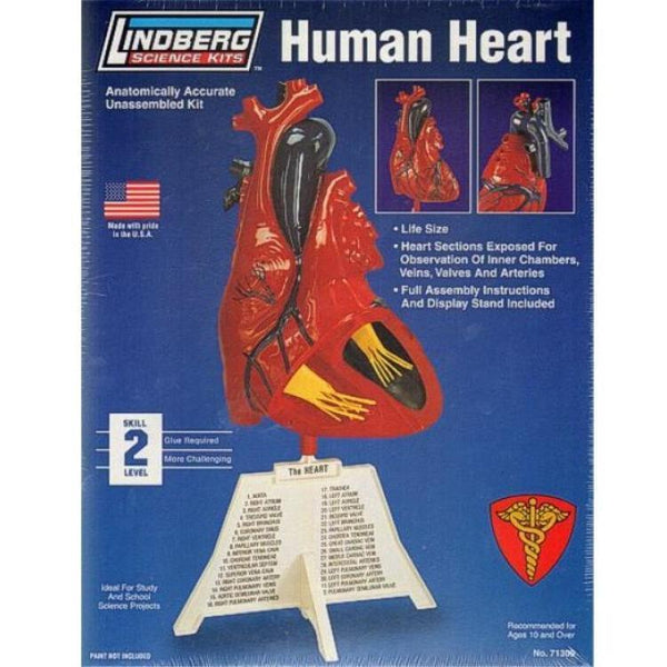 LINDBERG Human Heart