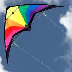 WINDSPEED Prism Sports Dual Control Stunt Kite