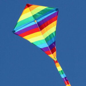 WINDSPEED Rainbow Diamond Single String Kite