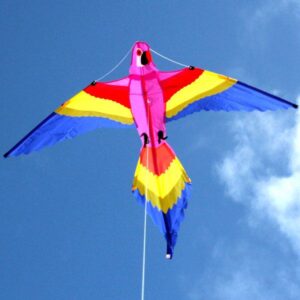 WINDSPEED Lorikeet Single String Kite