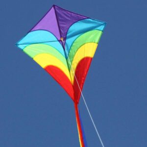 WINDSPEED Waves Diamond Single String Kite
