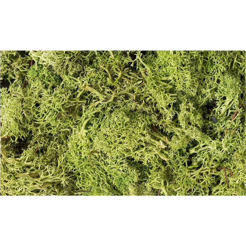 WOODLAND SCENICS Light Green Lichen