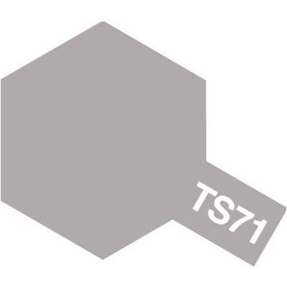 TAMIYA TS-71 Smoke Spray Paint 100ml