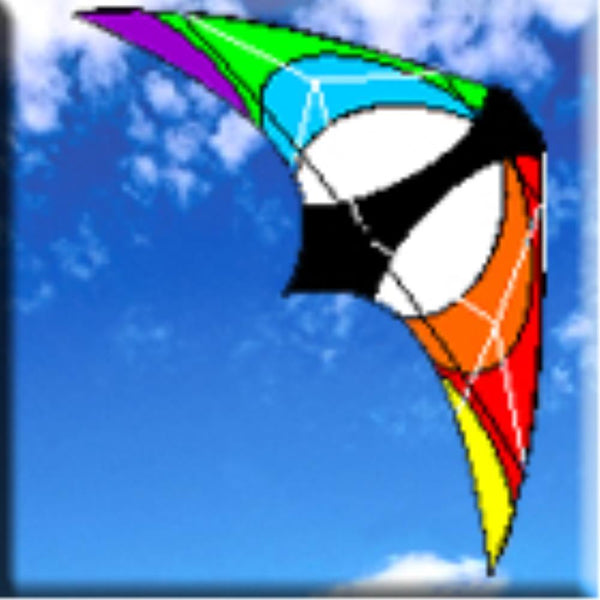WINDSPEED Monsoon Sport Dual Control Kite