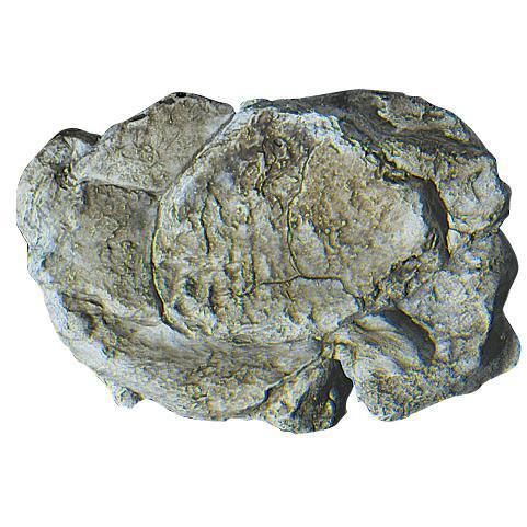 WOODLAND SCENICS Rock Mold-Wind Rock (5x7)
